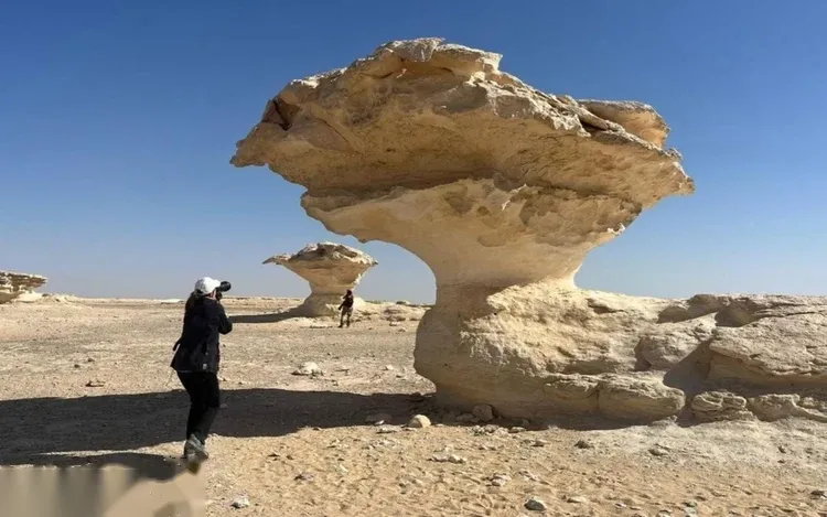 Bahariya Oasis Hot Springs & Black Desert Tour — view 5