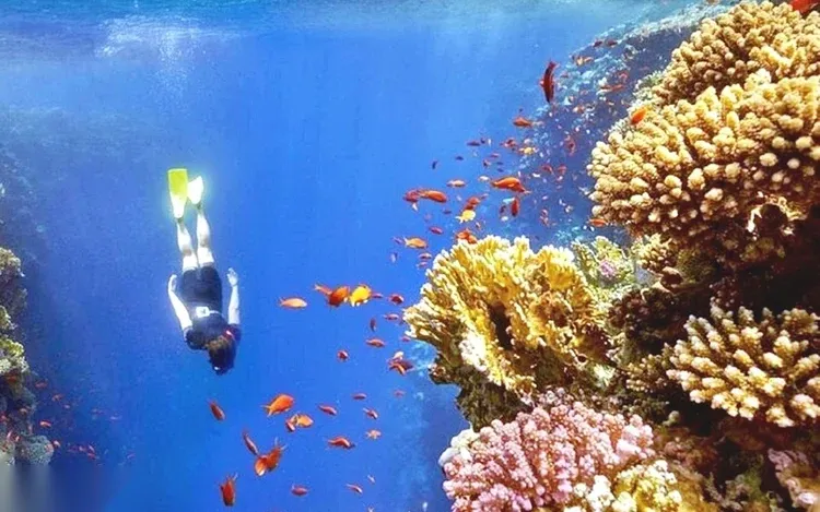 Blue Hole & Colored Canyon Snorkeling Day Trip — view 2