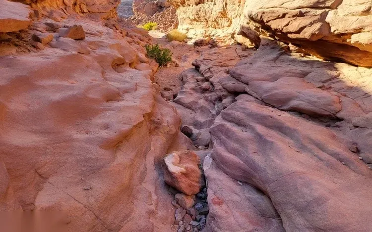 Blue Hole & Colored Canyon Snorkeling Day Trip — view 3