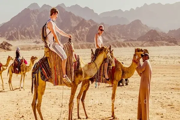 Buggy Safari Tour — view 5
