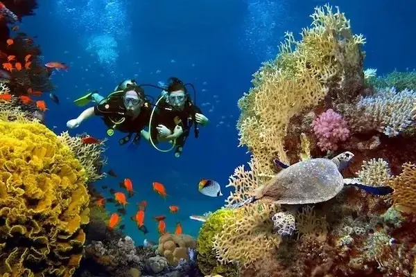 Certified Diving Trip — view 4