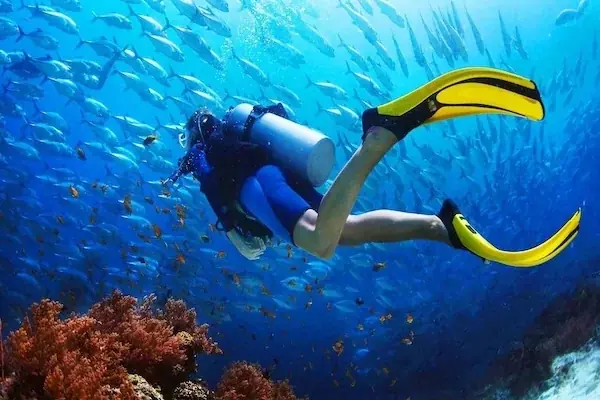 Discover Scuba Diving — view 3