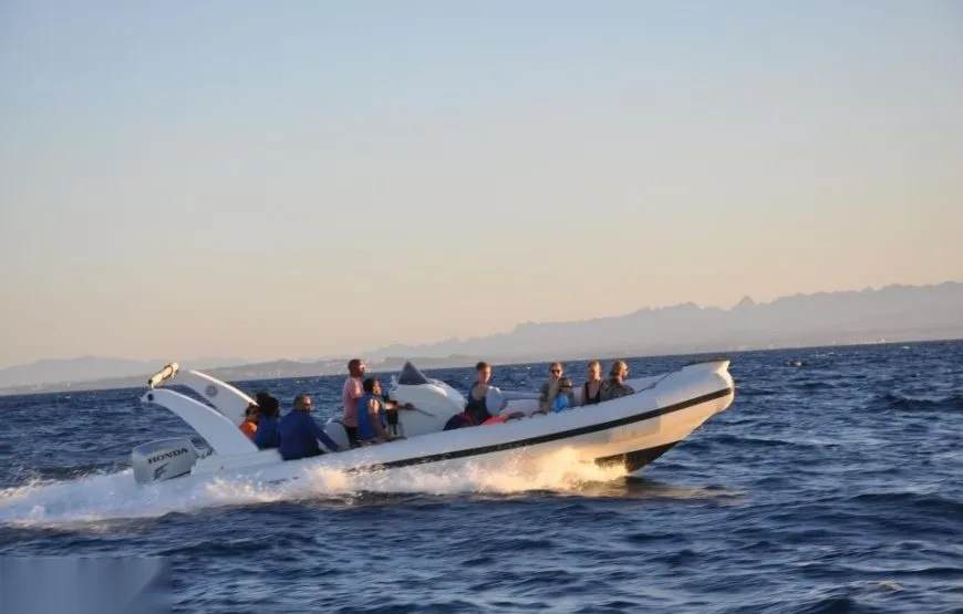 Dolphin House Speedboat Tour — view 4