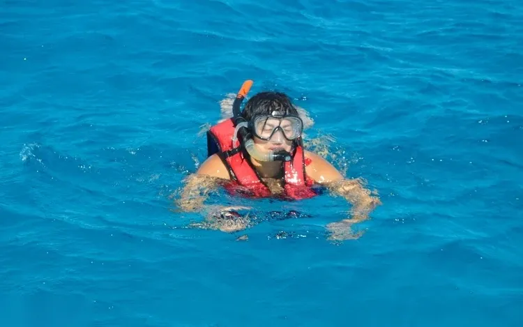 Dolphin Reef Snorkeling Tour — view 2