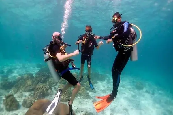 Full Day Diving Boat Tour