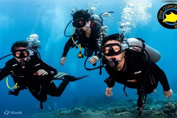 Full Day Diving Boat Tour — view 3