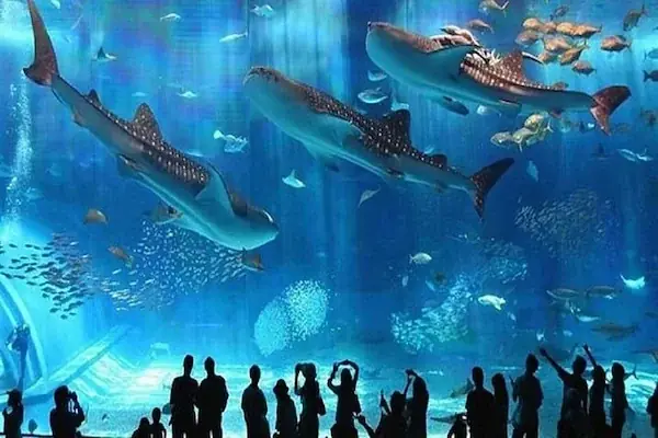 Hurghada Grand Aquarium Tour — view 2