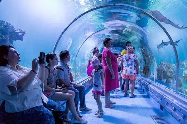 Hurghada Grand Aquarium Tour — view 4