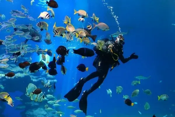 PADI Deep Diver — view 3