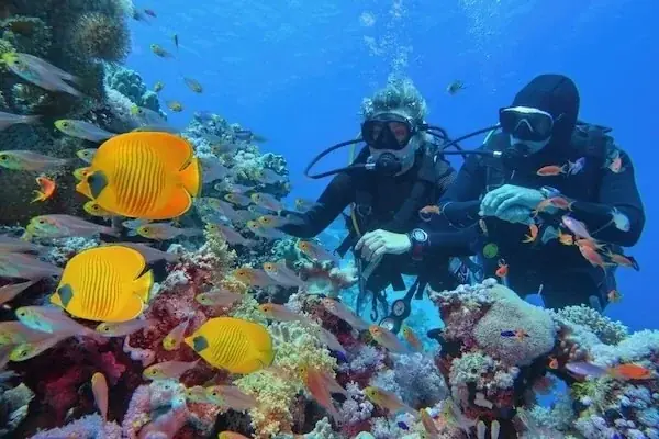 PADI Dry Suit Diver — view 4