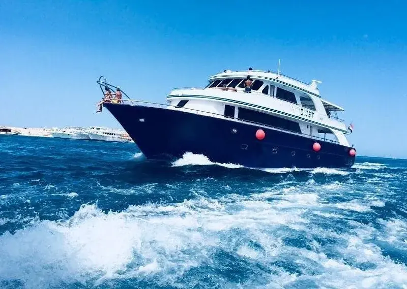Private Dolphin Tour — view 4