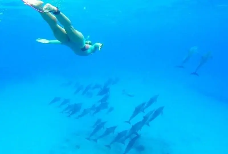Private Dolphin Tour — view 5