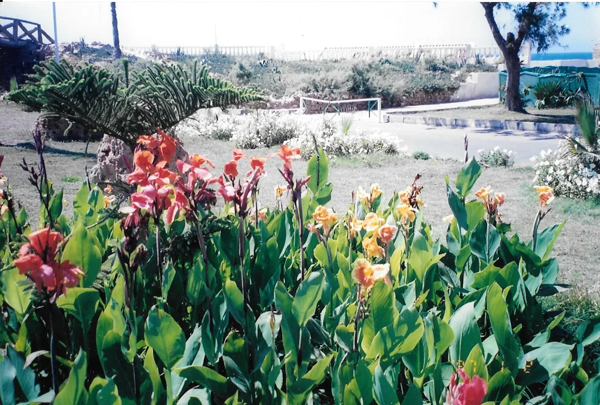 Private Montaza Palace Gardens & Abu Qir Tour — view 3