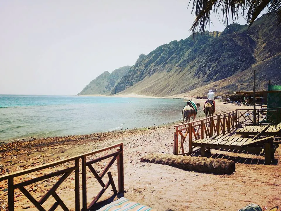 Three Pools & Blue Lagoon Snorkeling Trip — view 5